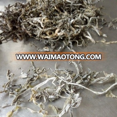 dried health seafood konbu silk nori /kelp silk